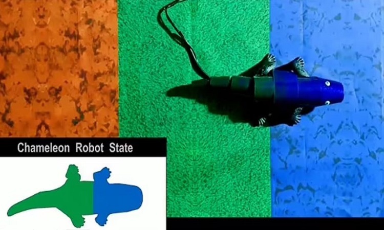 雲联科技机器人变色龙会根据环境改变颜色
